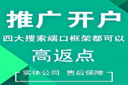 百度竞价排名服务：成功案例解析